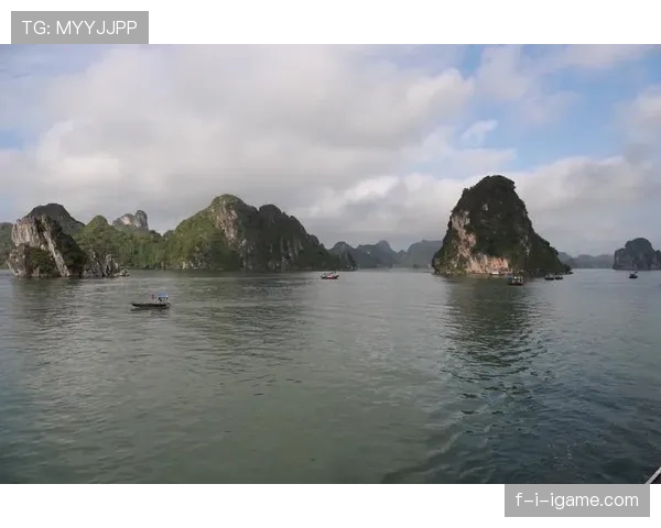 越南国家队河内点燃球迷热情，共庆荣耀时刻彰显团队竞争力跃升